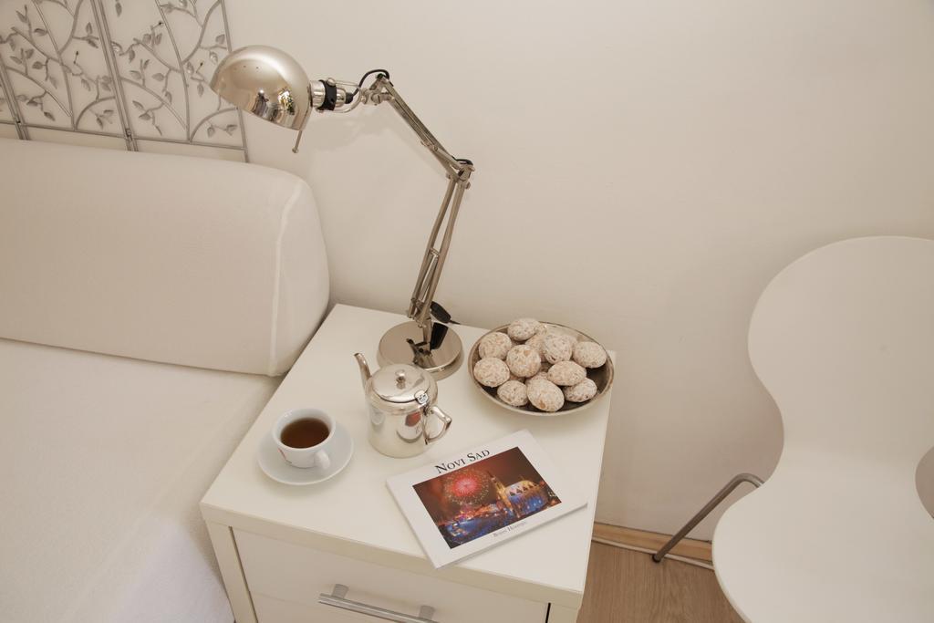 Apartment Spacious Liman نوفي ساد المظهر الخارجي الصورة