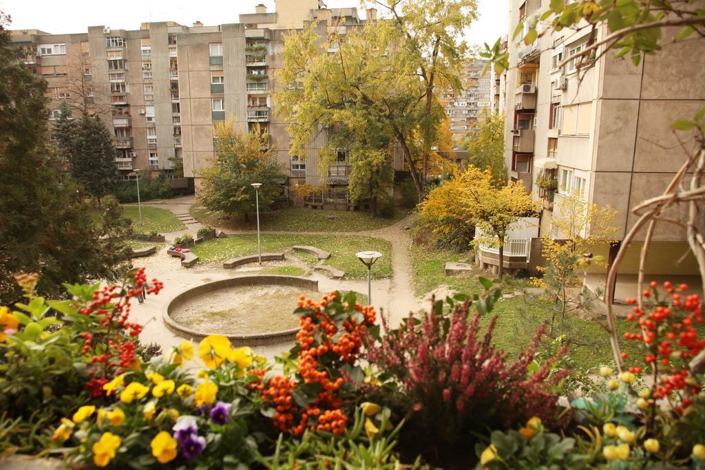 Apartment Spacious Liman نوفي ساد المظهر الخارجي الصورة