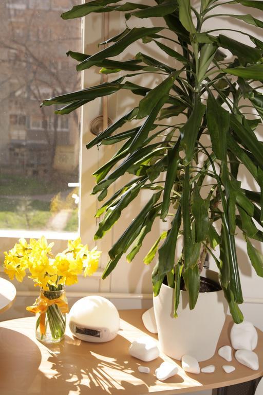 Apartment Spacious Liman نوفي ساد المظهر الخارجي الصورة