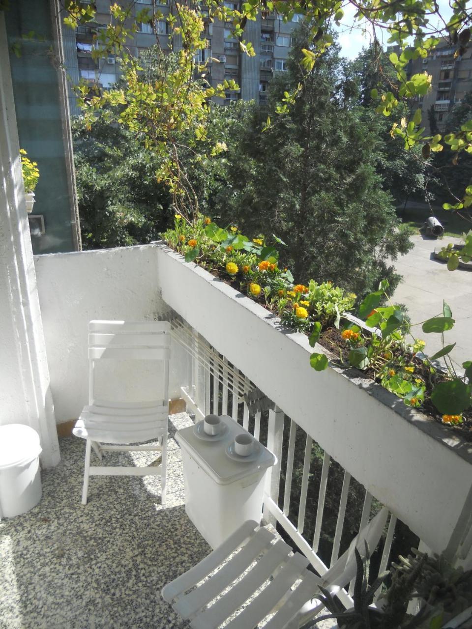 Apartment Spacious Liman نوفي ساد المظهر الخارجي الصورة